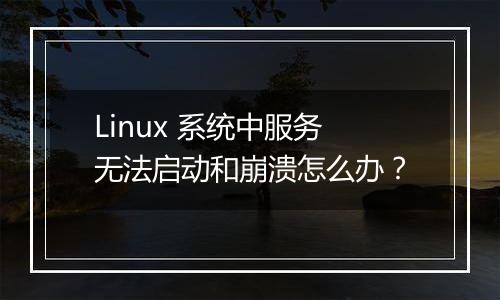 Linux 系统中服务无法启动和崩溃怎么办?