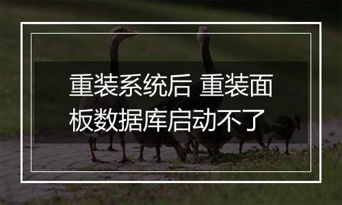 重装系统后 重装面板数据库启动不了