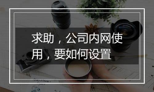 求助,公司内网使用,要如何设置