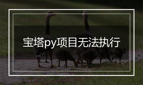 宝塔py项目无法执行