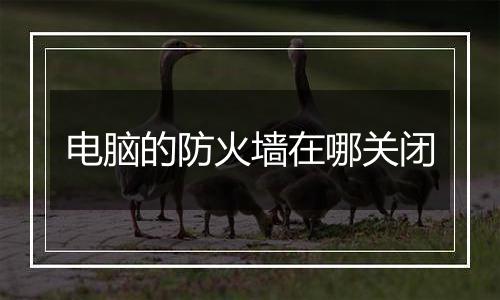 电脑的防火墙在哪关闭