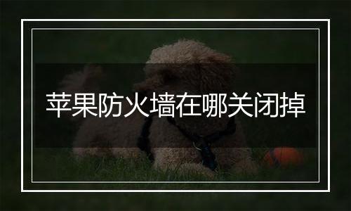 苹果防火墙在哪关闭掉