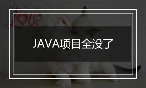 JAVA项目全没了