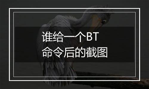 谁给一个BT命令后的截图