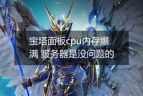宝塔面板cpu内存爆满 服务器是没问题的