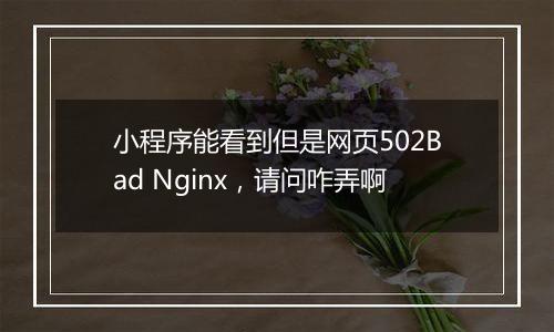 小程序能看到但是网页502Bad Nginx，请问咋弄啊