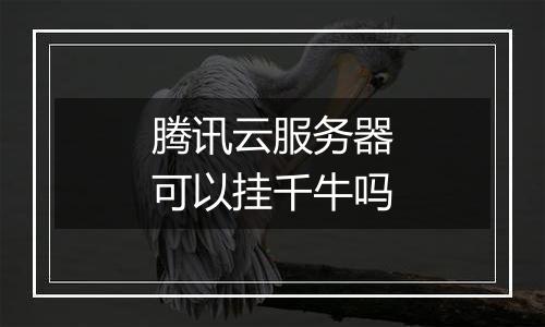 腾讯云服务器可以挂千牛吗