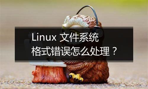 Linux 文件系统格式错误怎么处理?