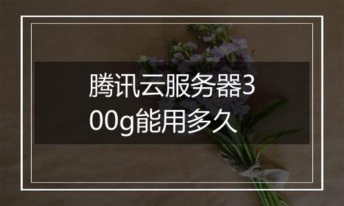 腾讯云服务器300g能用多久