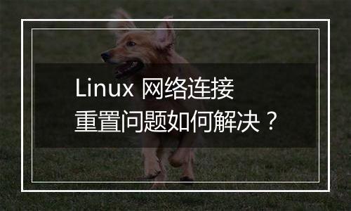Linux 网络连接重置问题如何解决?