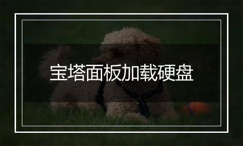 宝塔面板加载硬盘