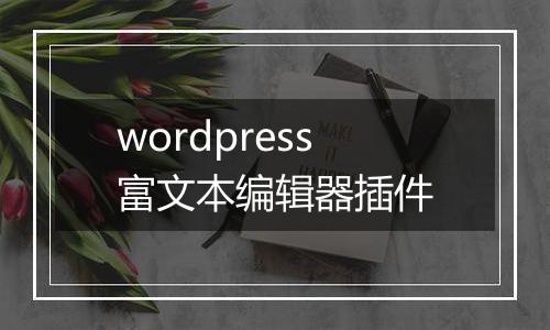 wordpress富文本编辑器插件