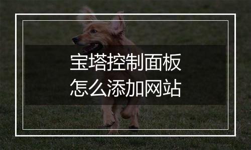 宝塔控制面板怎么添加网站