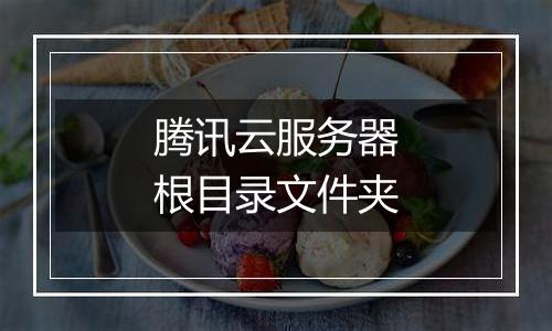 腾讯云服务器根目录文件夹