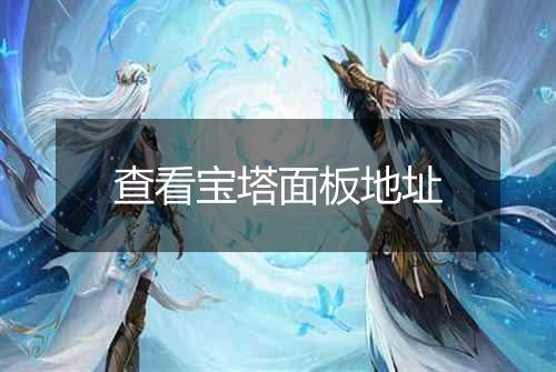 查看宝塔面板地址