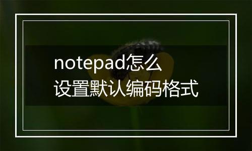 notepad怎么设置默认编码格式