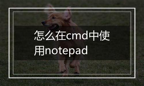 怎么在cmd中使用notepad