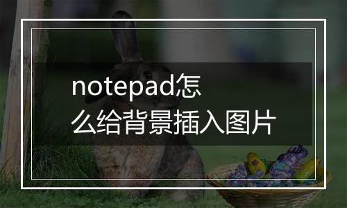 notepad怎么给背景插入图片