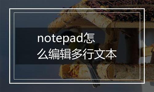 notepad怎么编辑多行文本