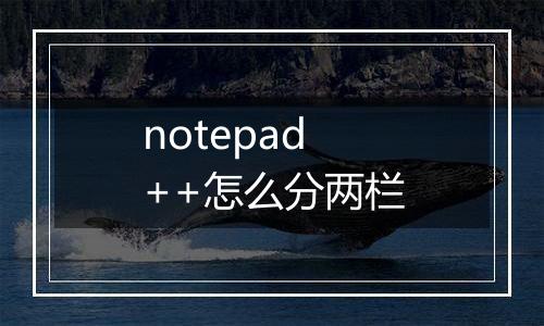 notepad++怎么分两栏