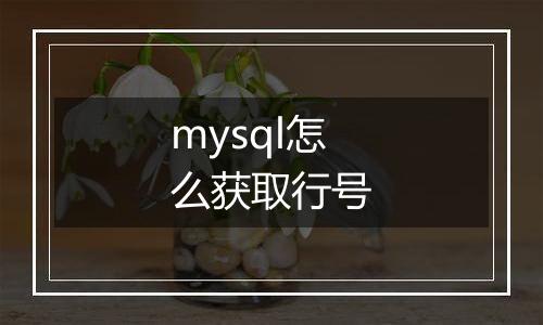 mysql怎么获取行号