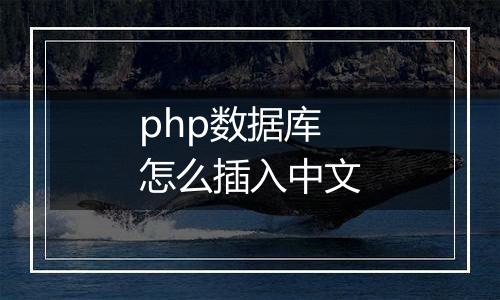 php数据库怎么插入中文