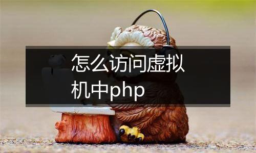 怎么访问虚拟机中php