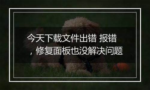 今天下载文件出错 报错,修复面板也没解决问题
