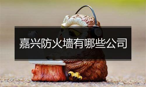 嘉兴防火墙有哪些公司