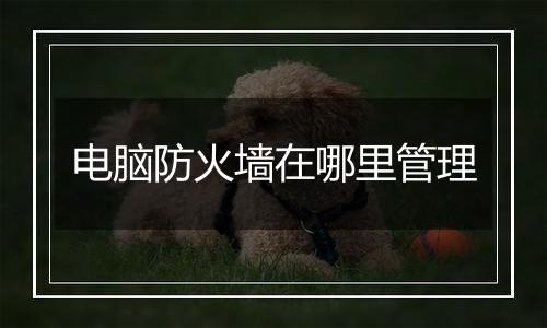 电脑防火墙在哪里管理