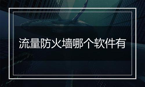 流量防火墙哪个软件有
