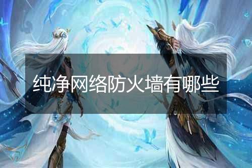 纯净网络防火墙有哪些