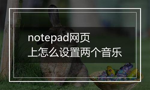 notepad网页上怎么设置两个音乐