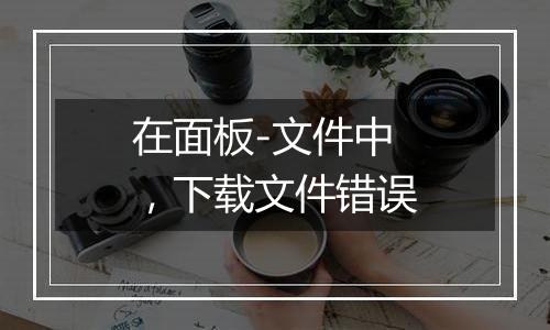 在面板-文件中,下载文件错误