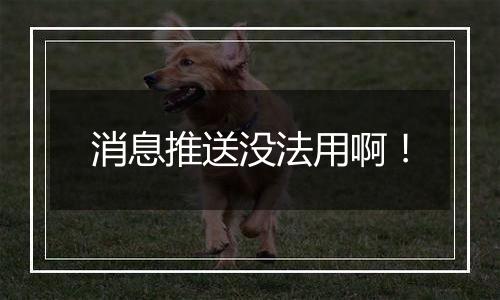 消息推送没法用啊！