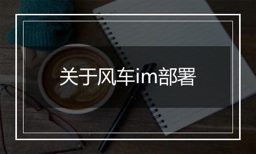 关于风车im部署