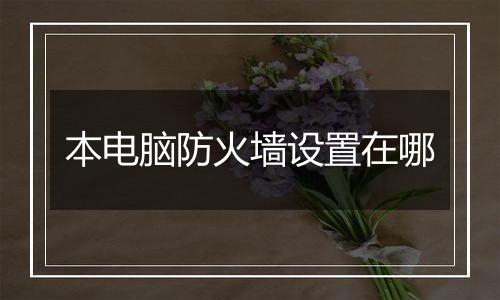 本电脑防火墙设置在哪