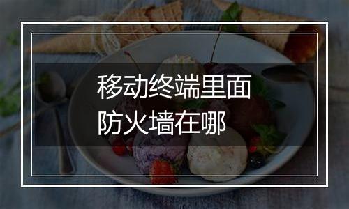 移动终端里面防火墙在哪