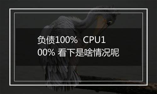负债100% CPU100% 看下是啥情况呢