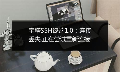 宝塔SSH终端1.0:连接丢失,正在尝试重新连接!