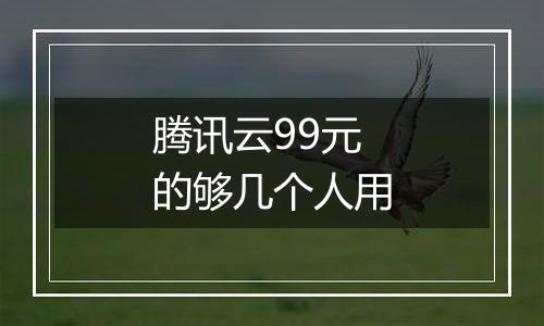 腾讯云99元的够几个人用