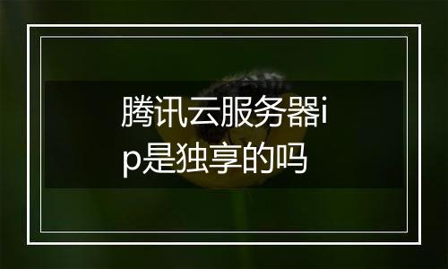 腾讯云服务器ip是独享的吗