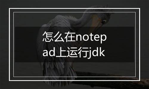 怎么在notepad上运行jdk