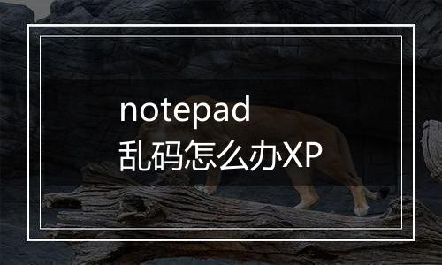 notepad乱码怎么办XP
