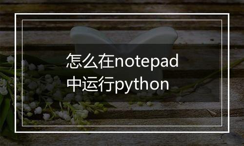 怎么在notepad中运行python