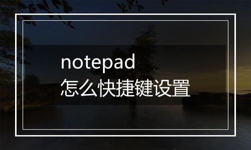 notepad怎么快捷键设置