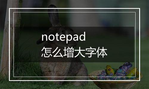 notepad怎么增大字体