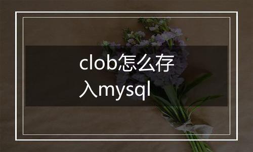 clob怎么存入mysql
