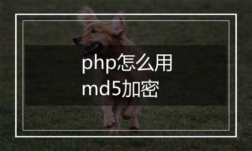 php怎么用md5加密