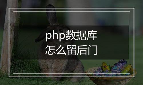 php数据库怎么留后门